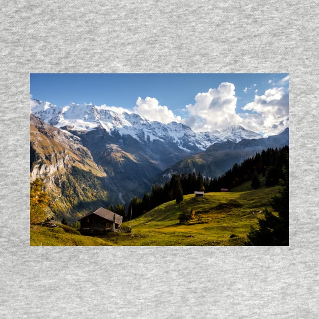 Sunny Switzerland by krepsher